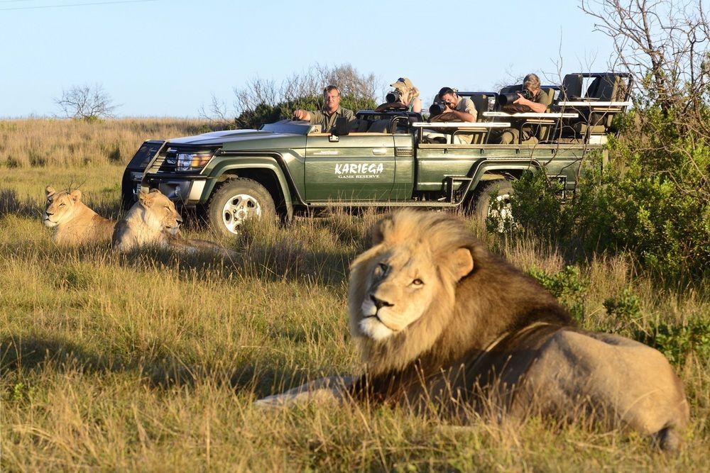 Kariega Game Reserve Settlers Drift Alexandria  Exterior foto