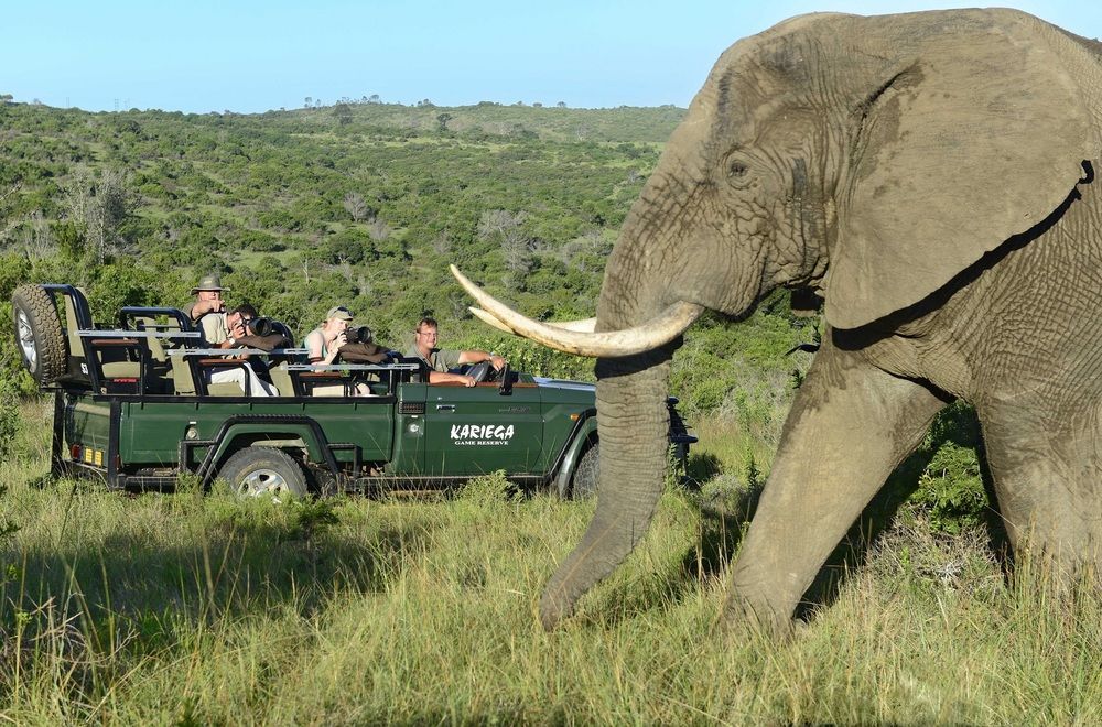 Kariega Game Reserve Settlers Drift Alexandria  Exterior foto